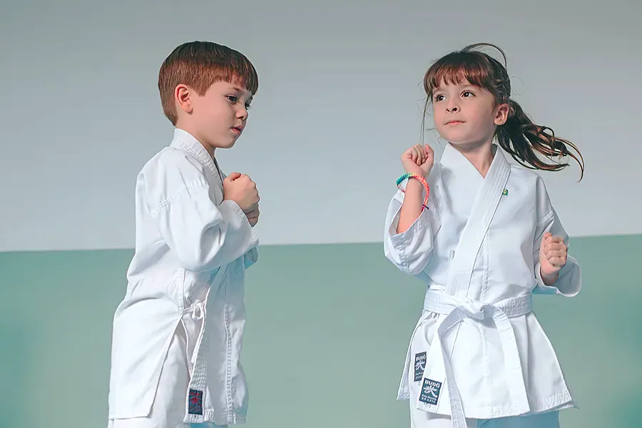 vida infantil esporte karatê